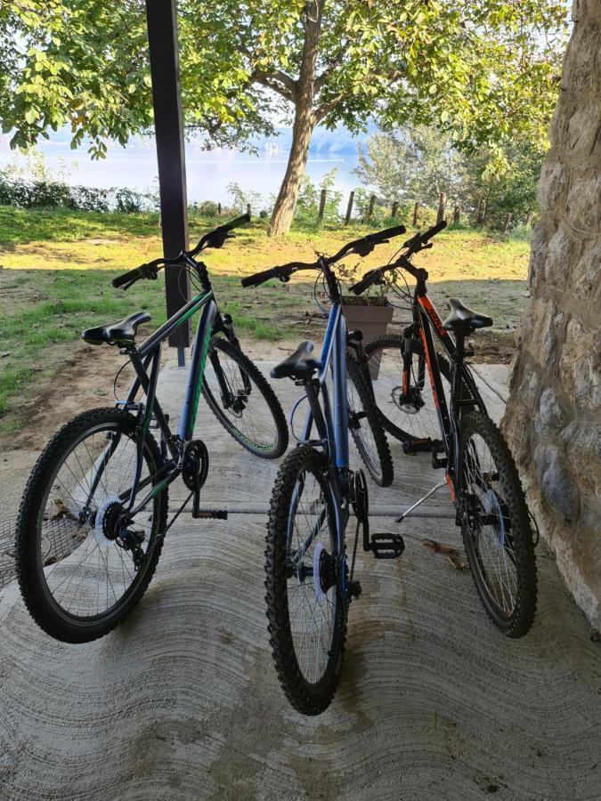 Kuca Za Odmor-Zelena Oaza Hotel Golubac Buitenkant foto
