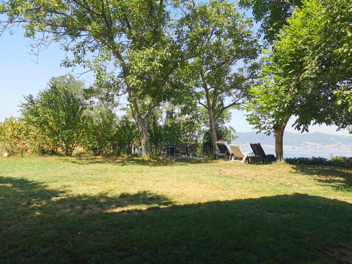 Kuca Za Odmor-Zelena Oaza Hotel Golubac Buitenkant foto